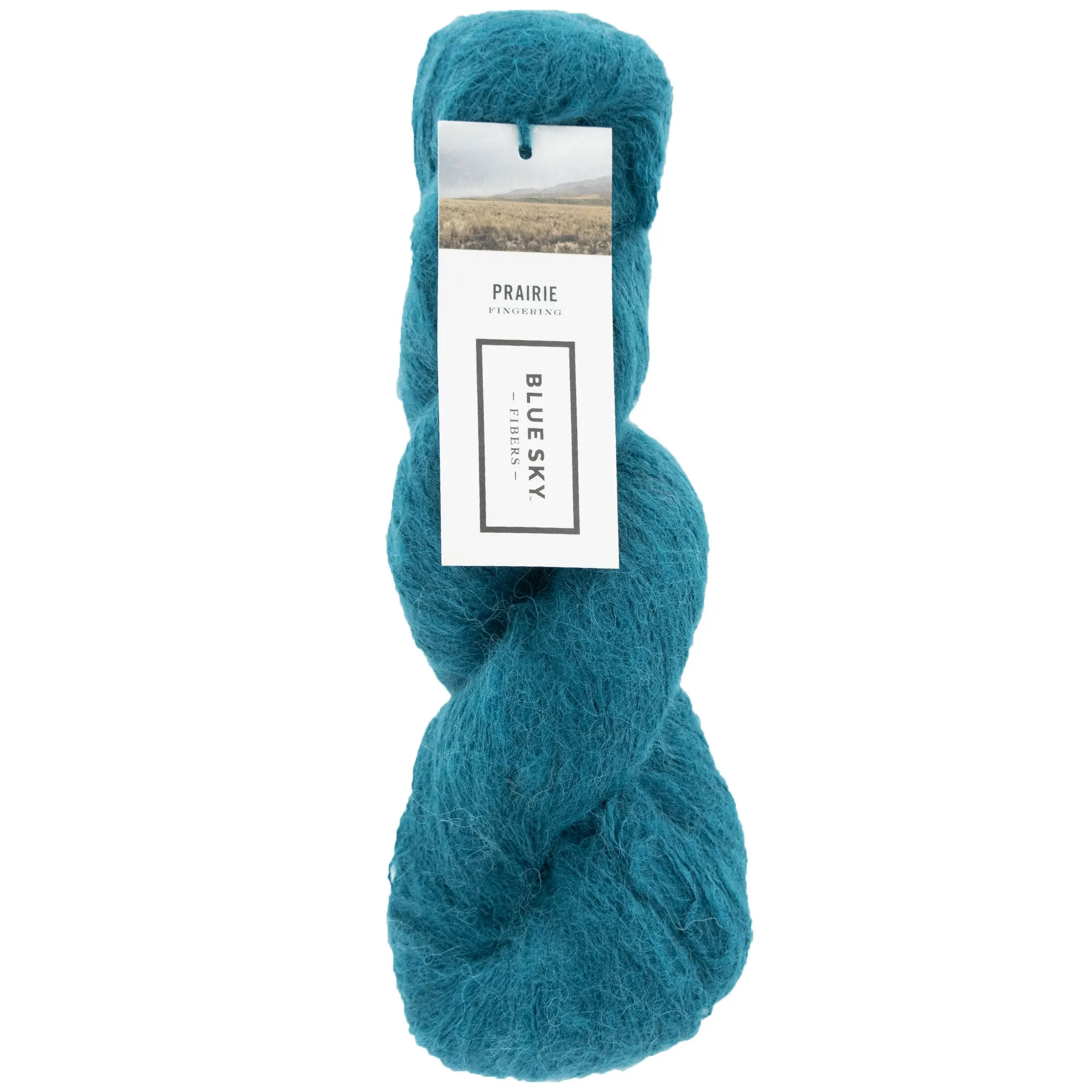 Blue Sky Fibers Prairie Yarn - 1107 - Juniper